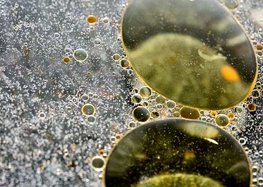 Oil bubbles on water macro
