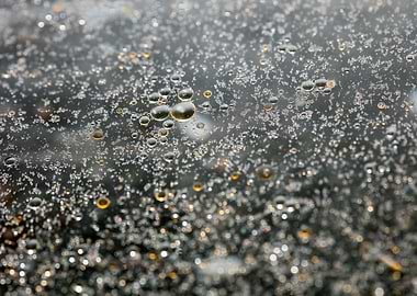 Oil bubbles on water macro