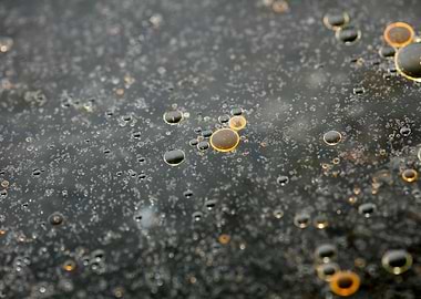 Oil bubbles on water macro