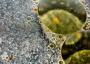 Oil bubbles on water macro