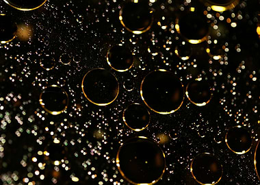 Oil bubbles on water macro