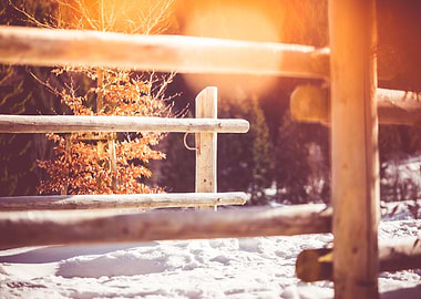 Mountain Path in Winter