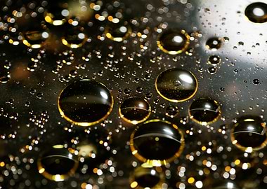 Oil bubbles on water macro