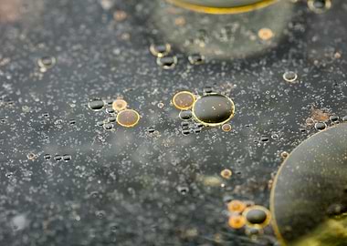 Oil bubbles on water macro