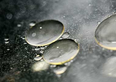 Oil bubbles on water macro