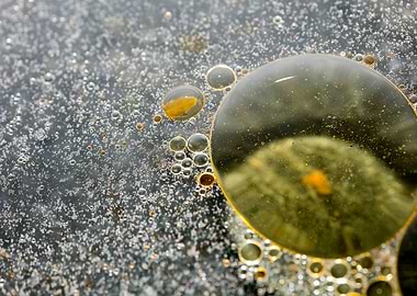 Oil bubbles on water macro