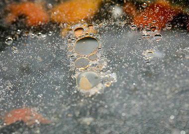 Oil bubbles on water macro
