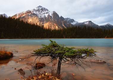 Cavell Lake Canada