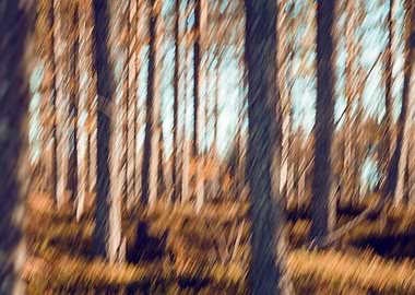 Autumn Fall in Lapland