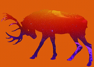 deer in northern horizon