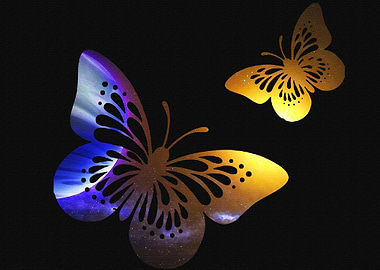 Butterfly into the sky