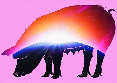 Pig with sunrise