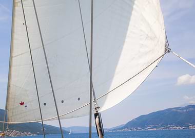 White sail