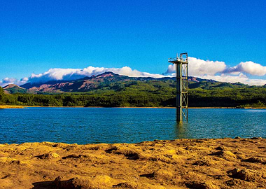 Landscape Opportunity