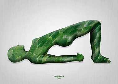 bridge pose yoga