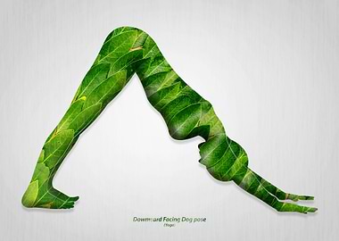 Downward Facing Dog pose