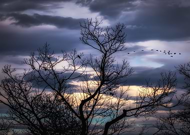 Between Fall And Winter