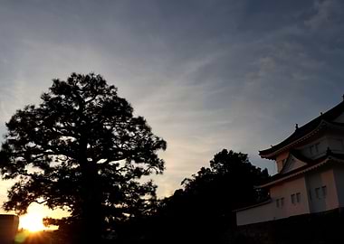 Japanese castle Kyoto Nij
