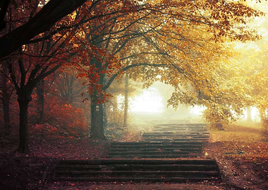 Stairs to autumn