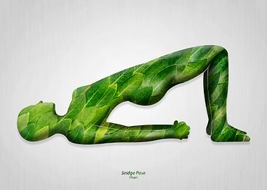 Bridge Pose