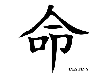 Destiny Chinese Character