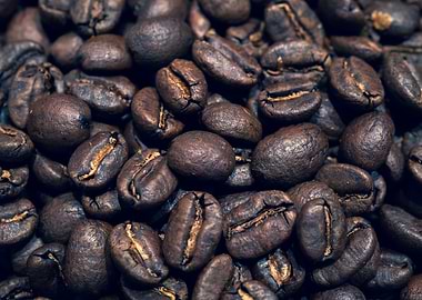 Roasted Espresso Beans