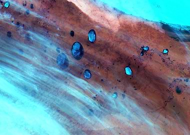 Russian Frozen Lakes