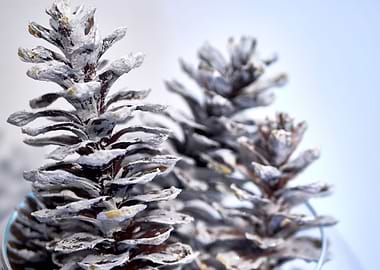 White colored Pinecone