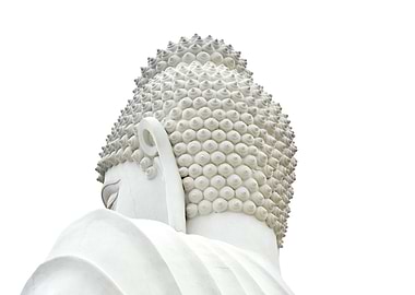 Buddha A worshiper of no