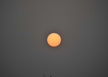 Beauty of the Rising Sun