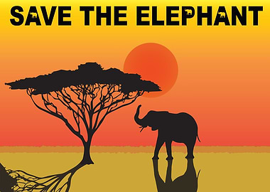 Save the Elephant