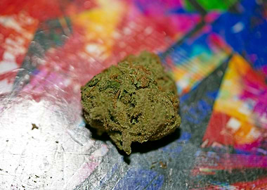 Lemon haze super skunk top