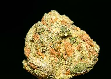 Lemon haze super skunk top