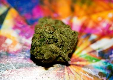 Lemon haze super skunk top