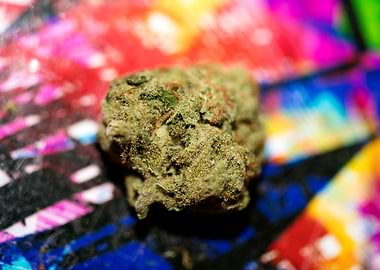 Lemon haze super skunk top