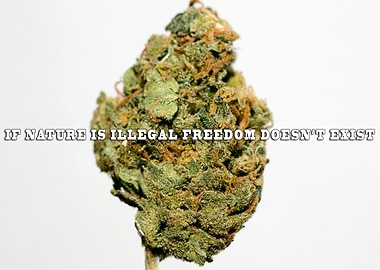 Quote in colorful prints