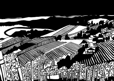 Tuscan vineyard view