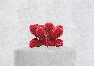Red Cactus
