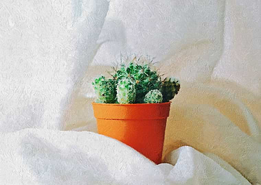 Cactus