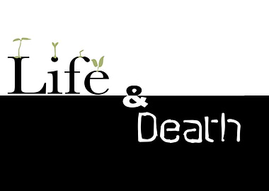 Life and Death