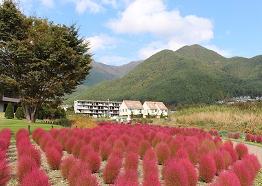 Kokia at Kawaguchiko