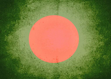 Bangladesh vintage flag