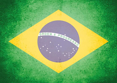 Brazil vintage flag