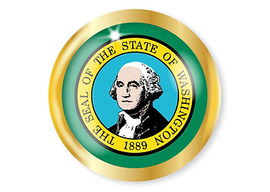 Washington Flag Button
