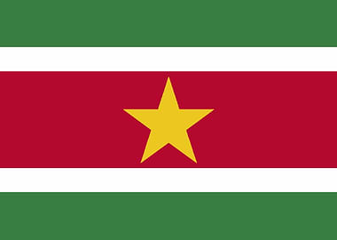 Suriname Flag
