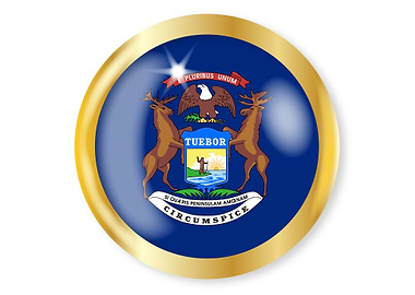 Michigan Flag Button