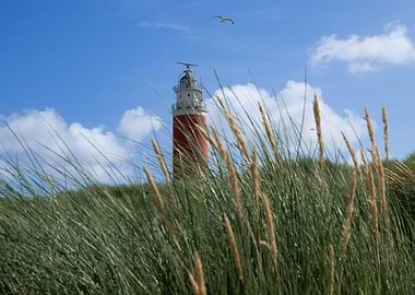 Texel Lighthouse