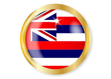Hawaii Flag Button