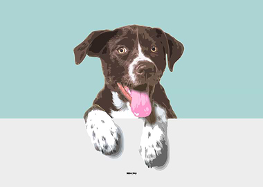 Anglo Francais Tricolored