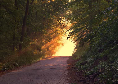 Road to the sun